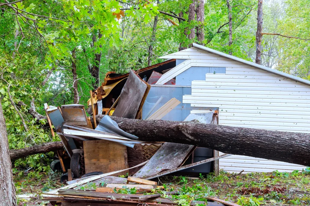 photo of a shed with a tree on it from a storm
